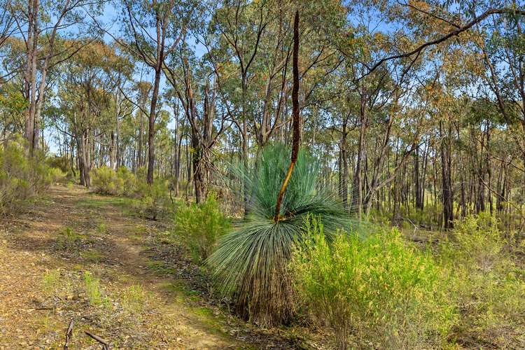 Second view of Homely lifestyle listing, 15 Moulton Court, Northwood VIC 3660