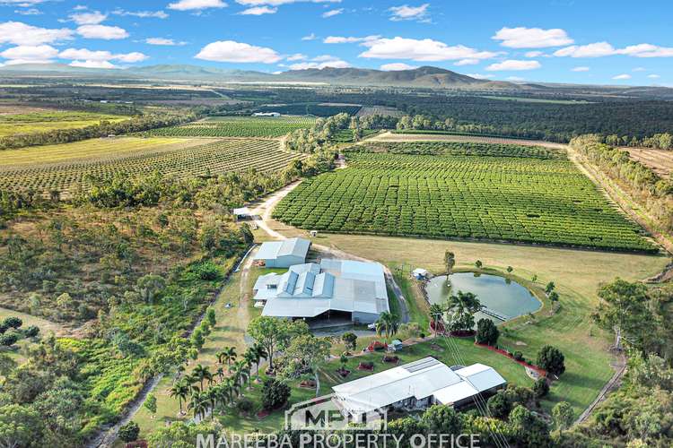 Main view of Homely horticulture listing, 111 McLeod Road, Mutchilba QLD 4872