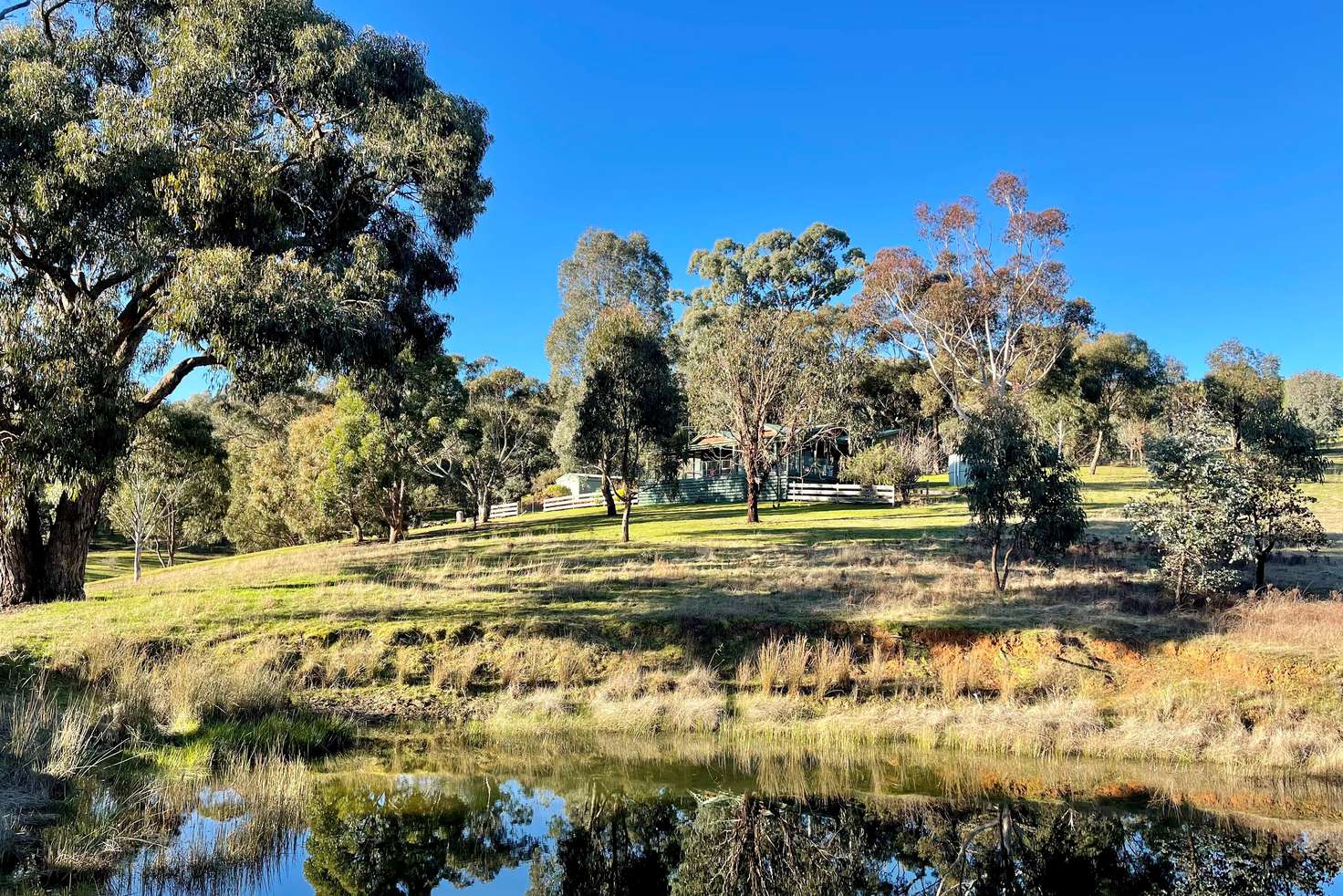 Main view of Homely house listing, 180 Star of the Glen Road, Bonnie Doon VIC 3720