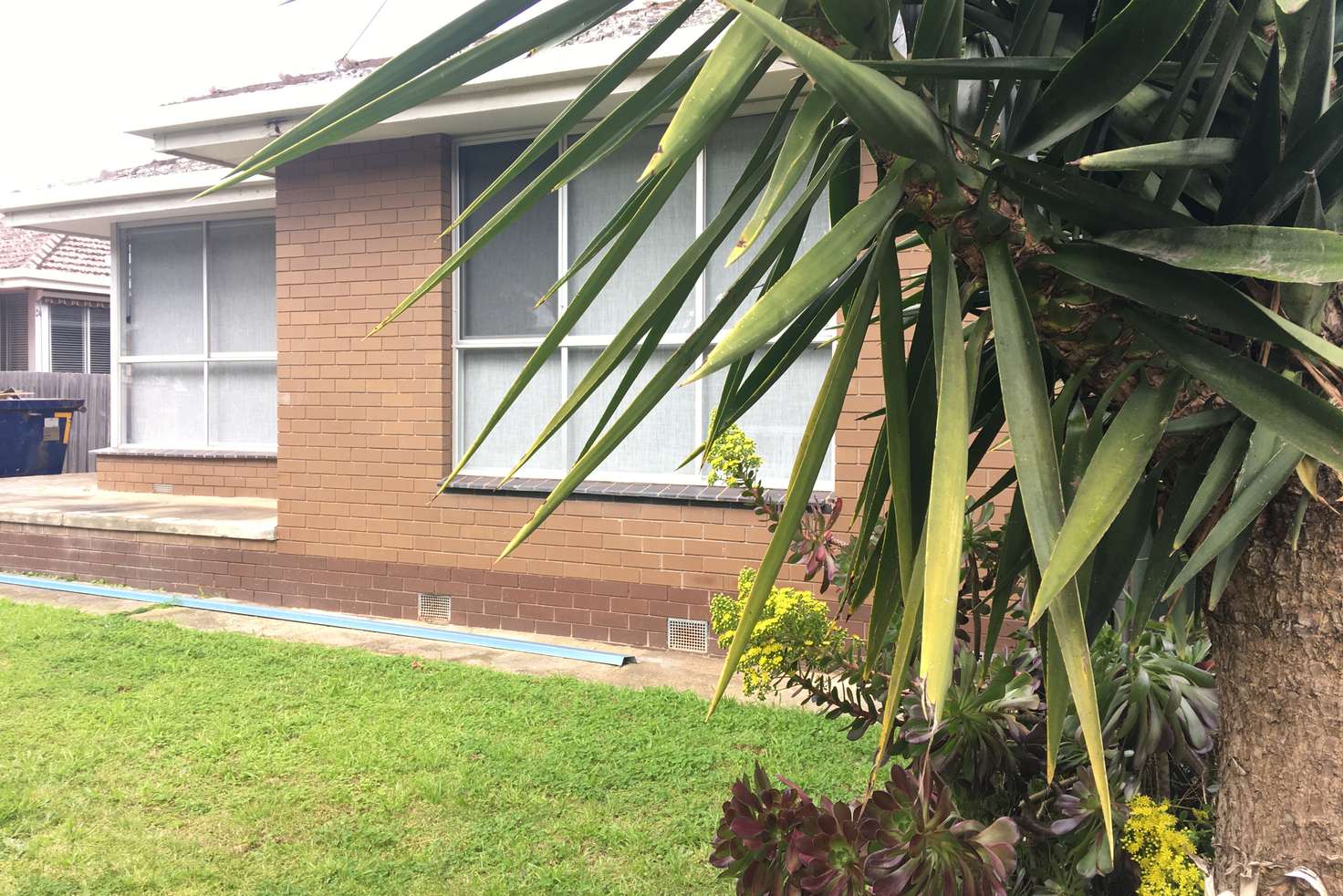 Main view of Homely house listing, 25 Clonard Avenue, Geelong West VIC 3218