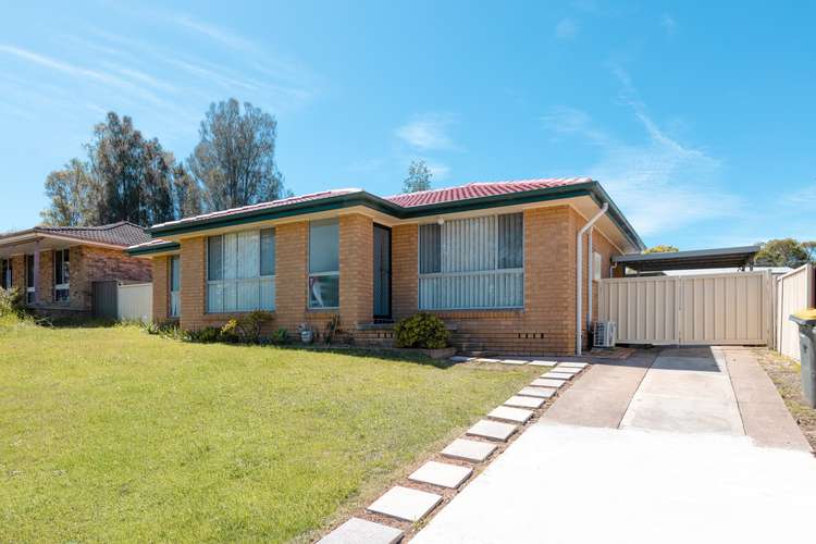 Main view of Homely house listing, 29 Taree Avenue, Telarah NSW 2320
