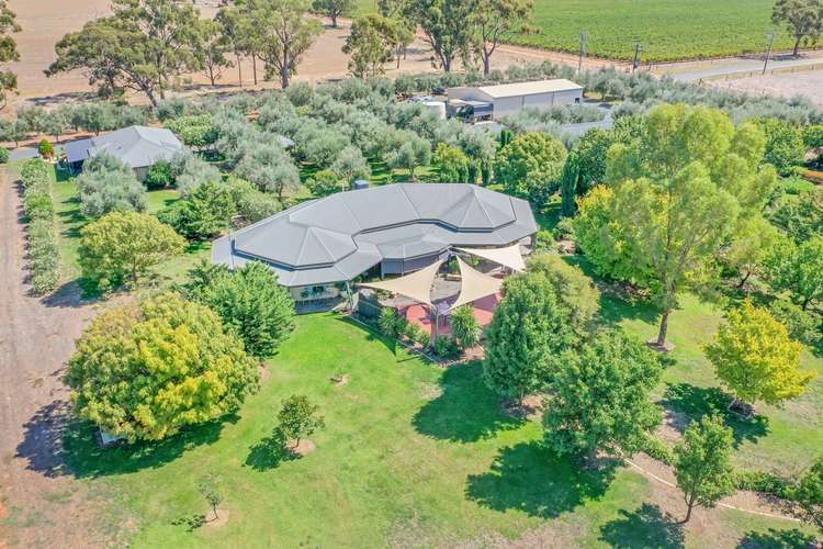 Main view of Homely house listing, 38 Manzanillo Avenue, Moama NSW 2731