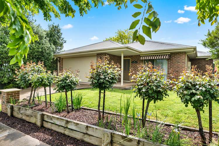 19 Cambridge Drive, Mansfield VIC 3722