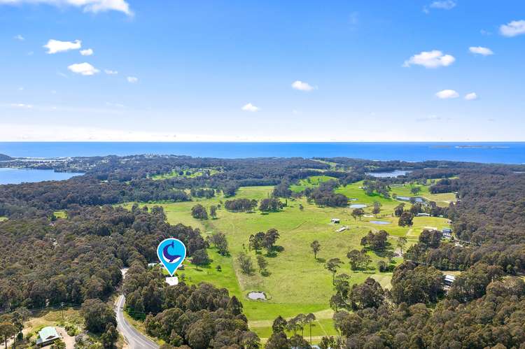 Sixth view of Homely acreageSemiRural listing, 237 Old Highway, Narooma NSW 2546