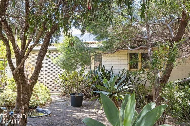 Main view of Homely house listing, 1055 Wanneroo Road, Wanneroo WA 6065