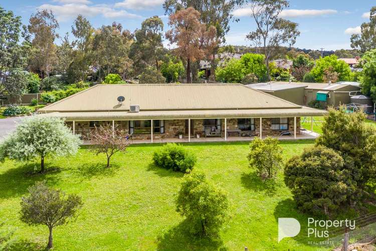 19 Webbs Road, Campbells Creek VIC 3451