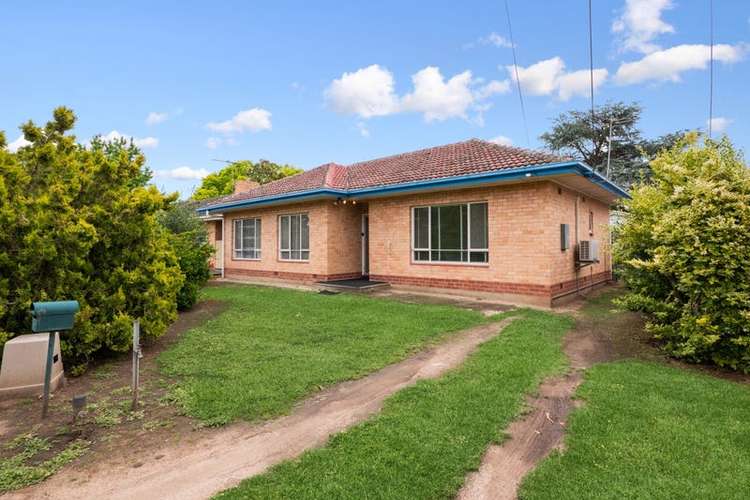 Main view of Homely house listing, 7 Whitelodge Road, Paradise SA 5075