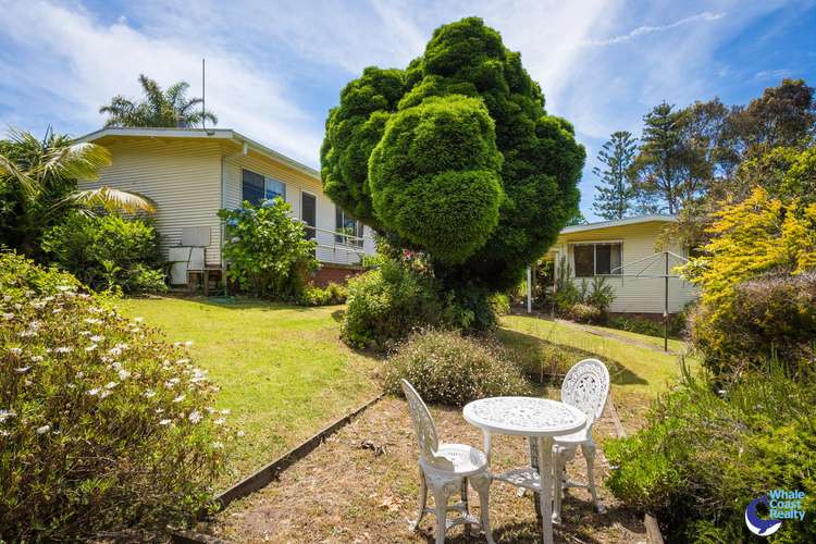 Main view of Homely house listing, 208-208A Princes Highway, Narooma NSW 2546