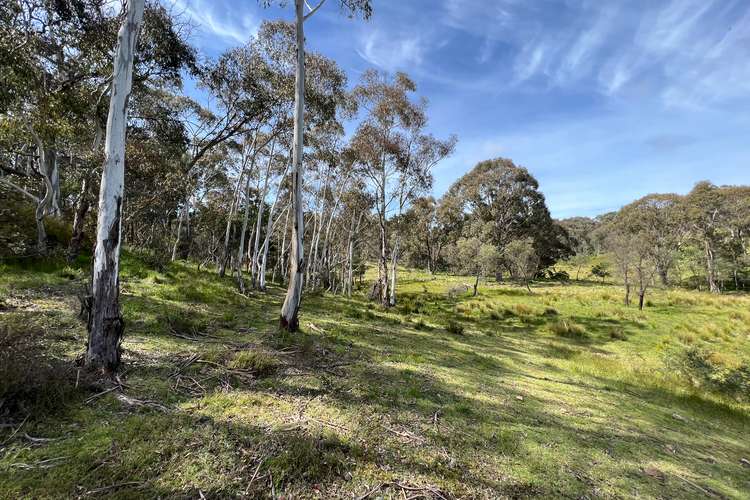 LOT 143, 6875 Taralga Road, Curraweela NSW 2580