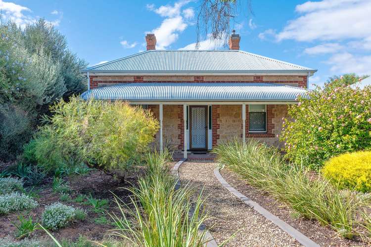 Main view of Homely house listing, 21 McHenry Street, Murray Bridge SA 5253