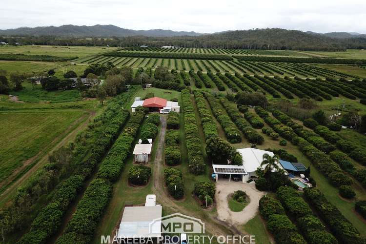 209 Malone Road, Mareeba QLD 4880