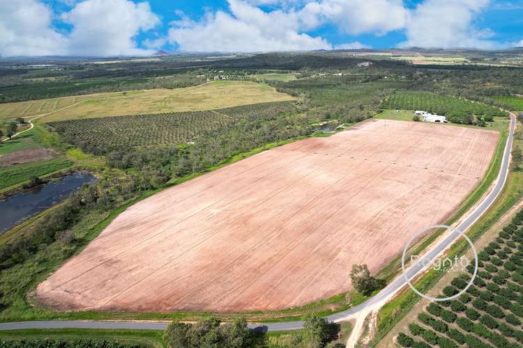 Main view of Homely cropping listing, 322 Fassio Road, Mareeba QLD 4880