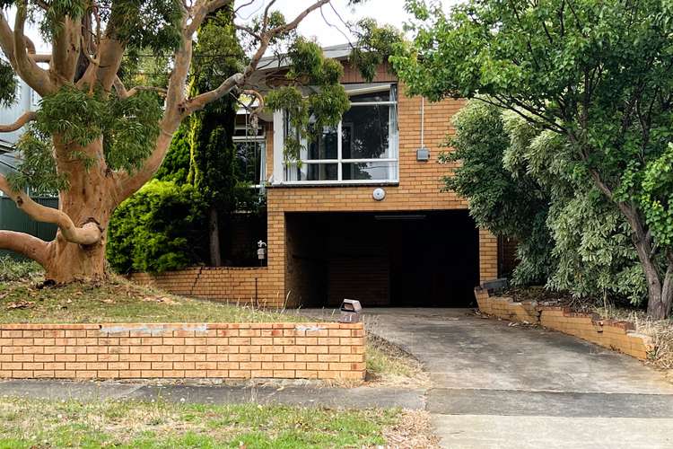 Main view of Homely house listing, 41 Iona Avenue, Belmont VIC 3216