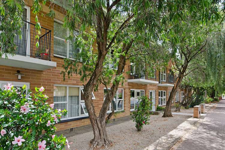 Main view of Homely apartment listing, 6/72 Duthy Street, Malvern SA 5061