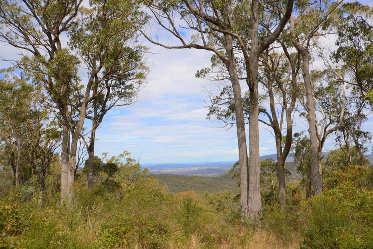 250 Thunderbolts Cave Road, Black Mountain NSW 2365