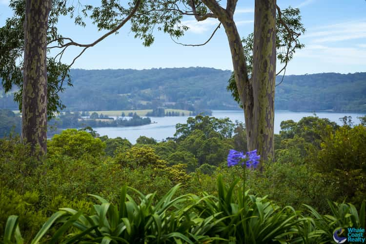 Third view of Homely house listing, 50 Rainforest Parkway, Narooma NSW 2546