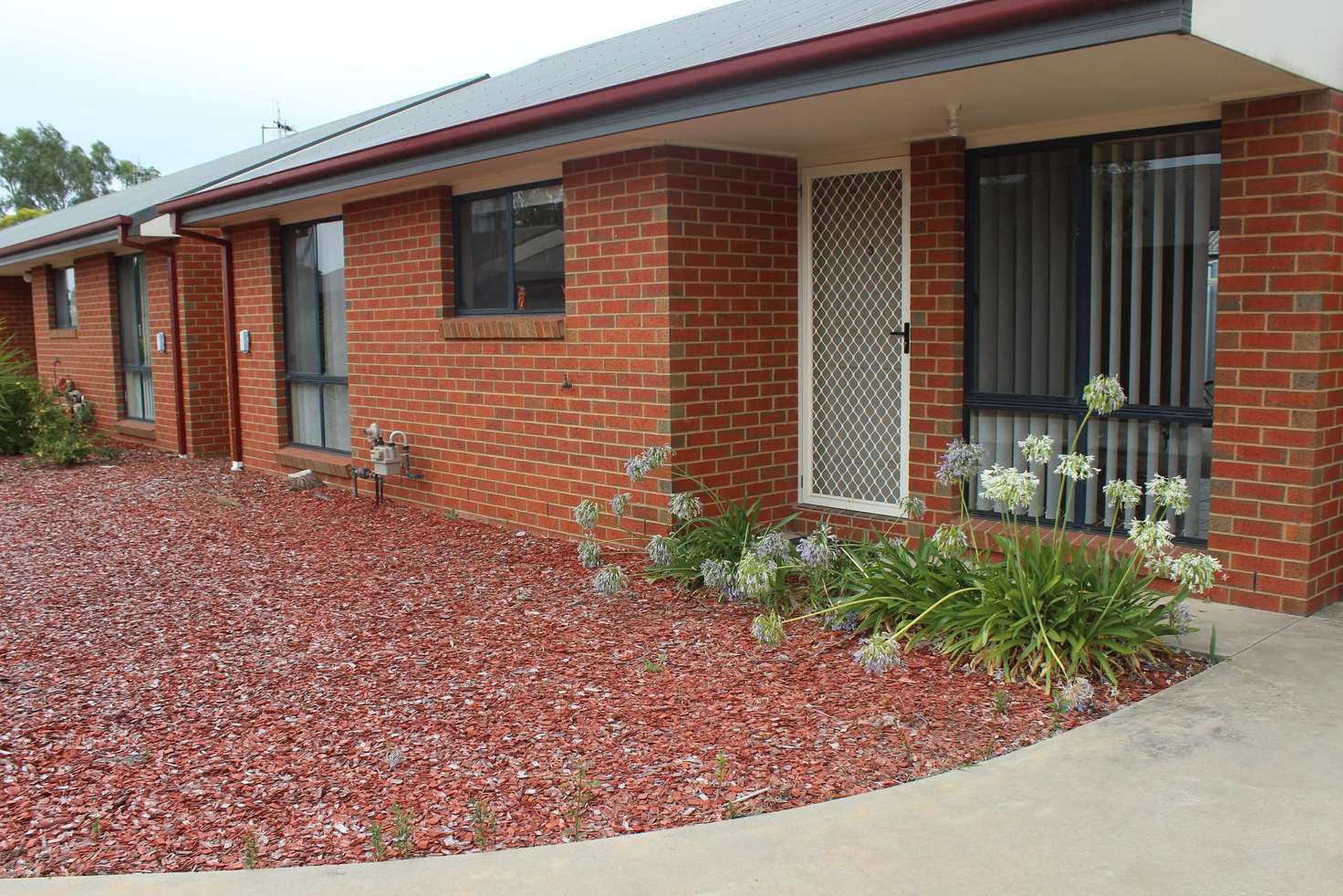 Main view of Homely unit listing, 3/19 Mary Street, Benalla VIC 3672