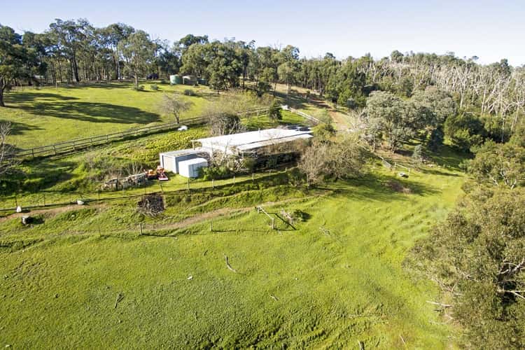 Main view of Homely house listing, 49 Wallace Road, Christmas Hills VIC 3775