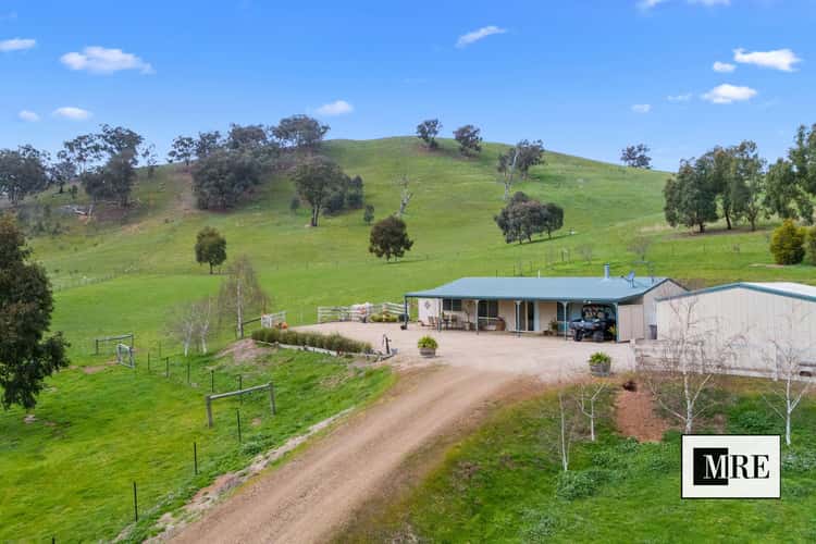Main view of Homely acreageSemiRural listing, 19 Settlers Court, Bonnie Doon VIC 3720