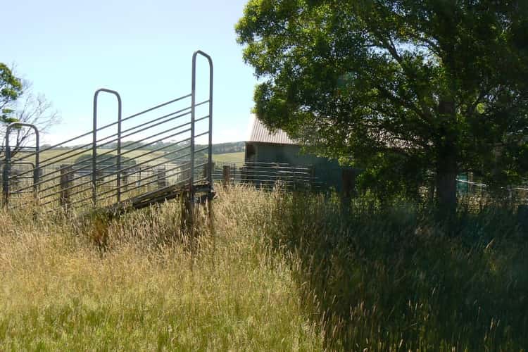 Fifth view of Homely farmlet listing, 40 Dehnerts Track, Beech Forest VIC 3237