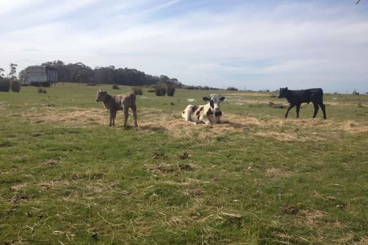 Sixth view of Homely lifestyle listing, Greens Beach Road, Beaconsfield TAS 7270