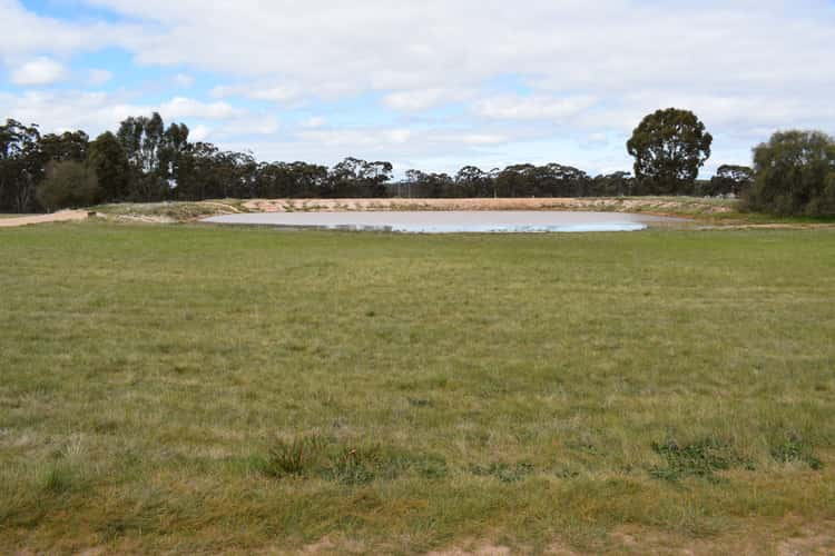 Seventh view of Homely acreageSemiRural listing, 7091 Calder Highway, Wedderburn VIC 3518