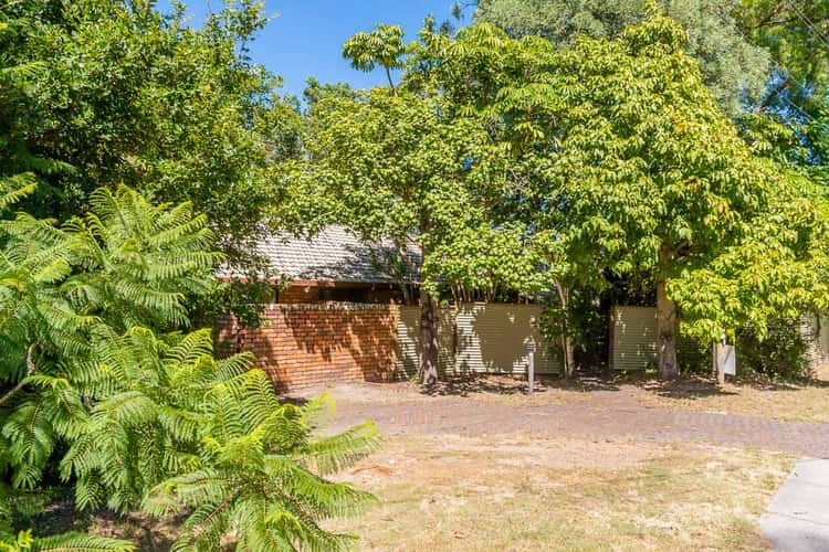 Second view of Homely house listing, 3 Ludlow Street, Chapel Hill QLD 4069