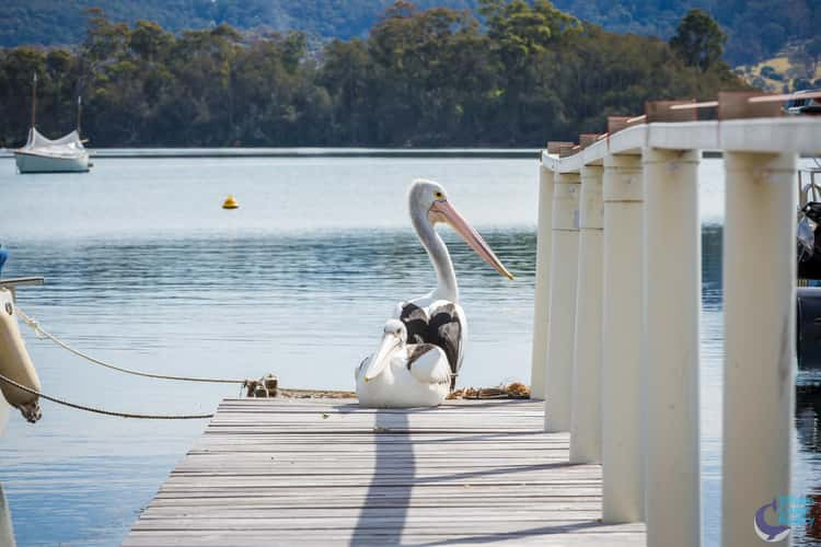 Fifth view of Homely residentialLand listing, LOT 1964 Riverside Drive, Narooma NSW 2546