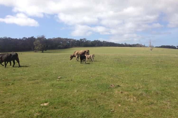 Fifth view of Homely lifestyle listing, Greens Beach Road, Beaconsfield TAS 7270