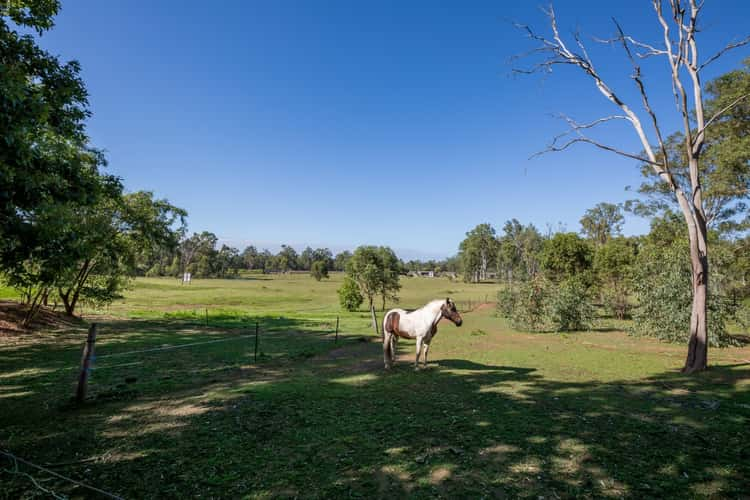 Sixth view of Homely acreageSemiRural listing, 10 Ladewigs Road, Karrabin QLD 4306