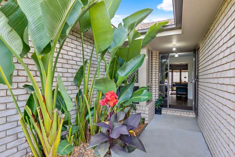 Third view of Homely house listing, 11 Baybreeze Close, Deception Bay QLD 4508