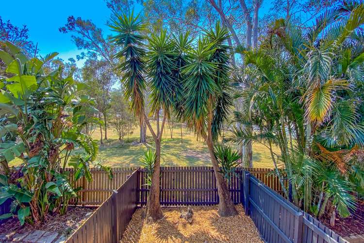 Third view of Homely townhouse listing, 11/64-74 Ferry Road, Thorneside QLD 4158