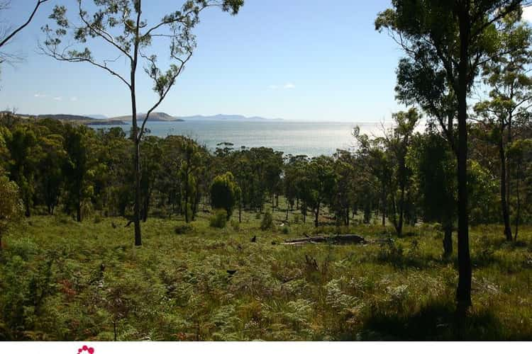 Main view of Homely residentialLand listing, 480 Rheban Rd, Spring Beach TAS 7190