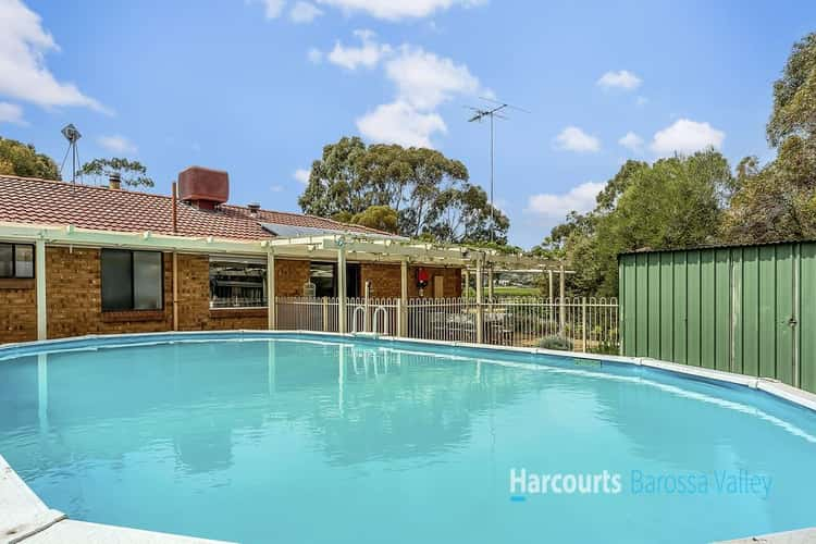 Sixth view of Homely house listing, 397 Diagonal Road, Angaston SA 5353