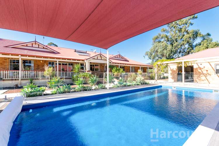 Main view of Homely house listing, 43 Pennygum Place, Mariginiup WA 6078