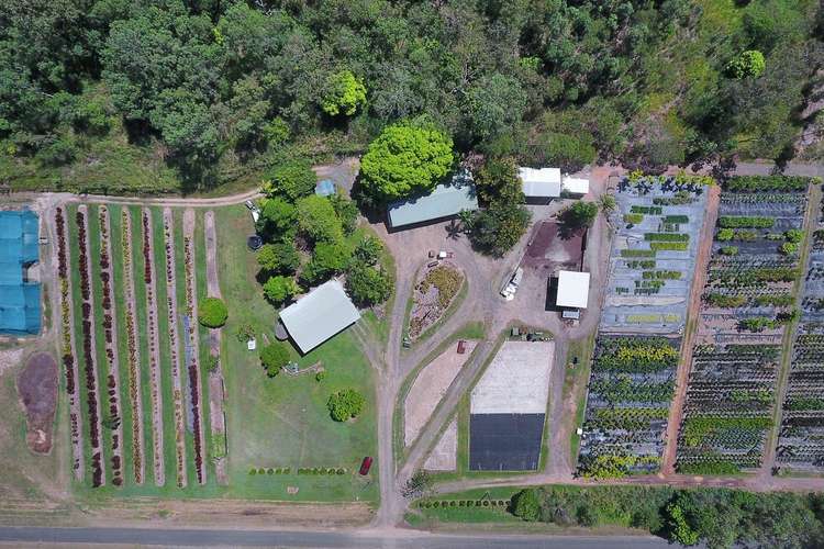 Main view of Homely mixedFarming listing, 1603 Geeberga Buthurra Road, Mount Ossa QLD 4741