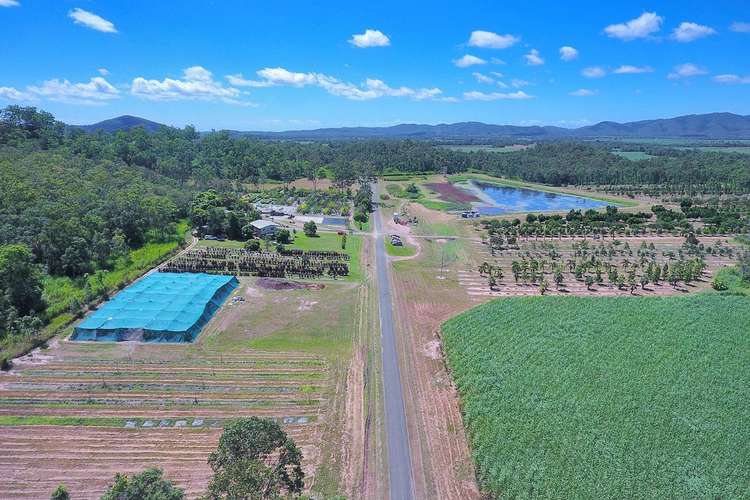 Fourth view of Homely mixedFarming listing, 1603 Geeberga Buthurra Road, Mount Ossa QLD 4741