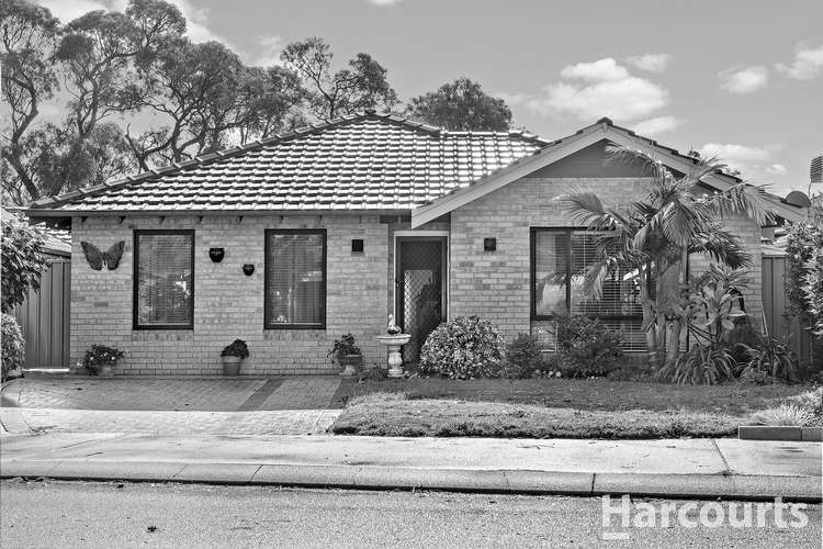 Main view of Homely house listing, 3 Marigold Lane, Falcon WA 6210