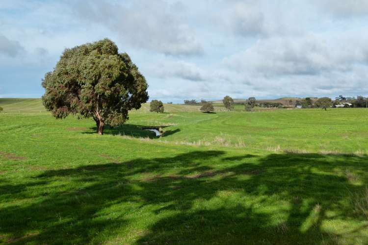 Main view of Homely mixedFarming listing, 300 Mosey Road, Ngapala SA 5374