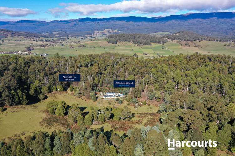 Main view of Homely lifestyle listing, 28 Camerons Road, Mole Creek TAS 7304