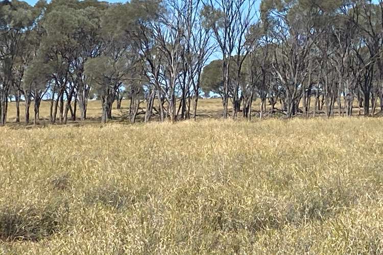 "Laidlaw", Melton Road, Longreach QLD 4730