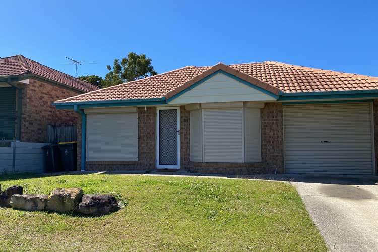 Main view of Homely house listing, 31 Currigee Circuit, Tingalpa QLD 4173