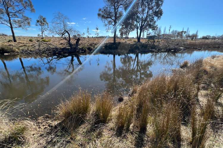 LOT 7, * Severn River Road, Dundee NSW 2370