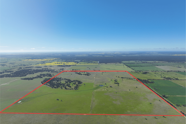 Main view of Homely ruralOther listing, "Morotai" Leetham Road, Deniliquin NSW 2710