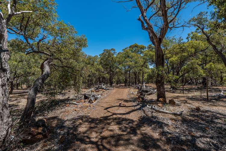 310 Maine-Anjou Drive, Lower Chittering WA 6084