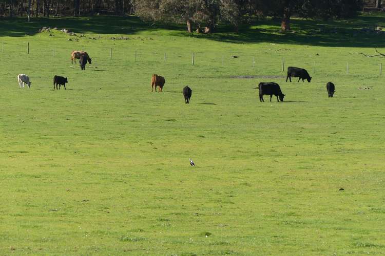 Main view of Homely livestock listing, Lot 901 Old Glentulloch Road, Kingston WA 6256