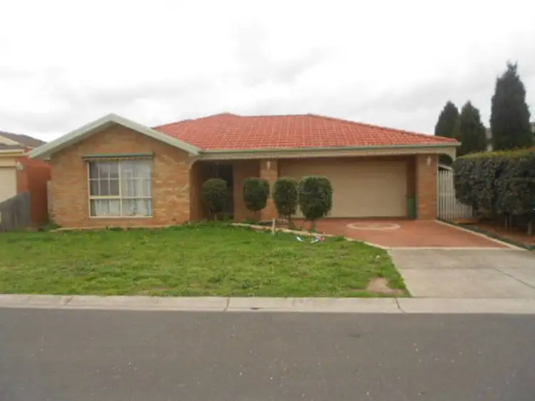 31 Delphinius Crescent