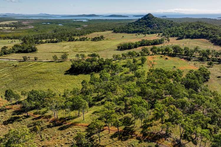 Main view of Homely ruralOther listing, Lot 61 Mount Ossa-Seaforth Road, Seaforth QLD 4741