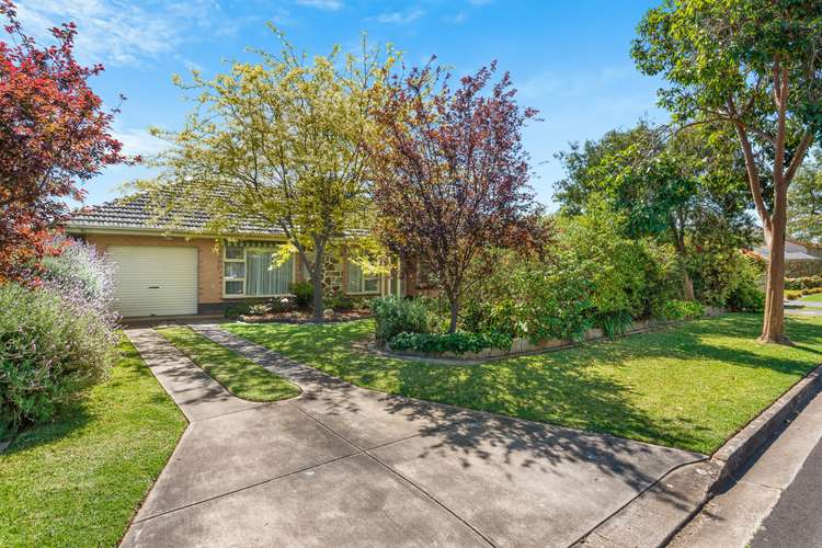 Main view of Homely house listing, 16 Mimosa Drive, Vale Park SA 5081