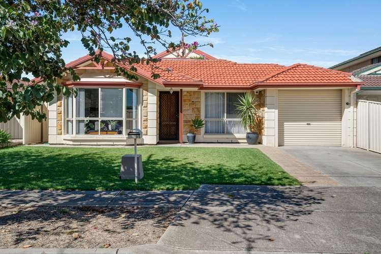 Main view of Homely house listing, 31 Rugby Avenue, Croydon Park SA 5008